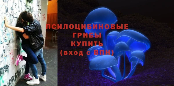 меф Нягань