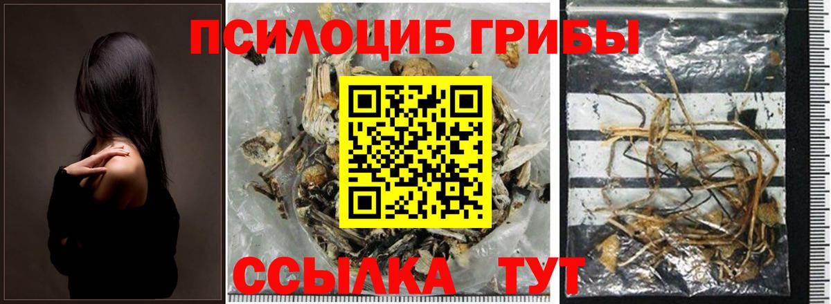 Галлюциногенные грибы ЛСД Клин